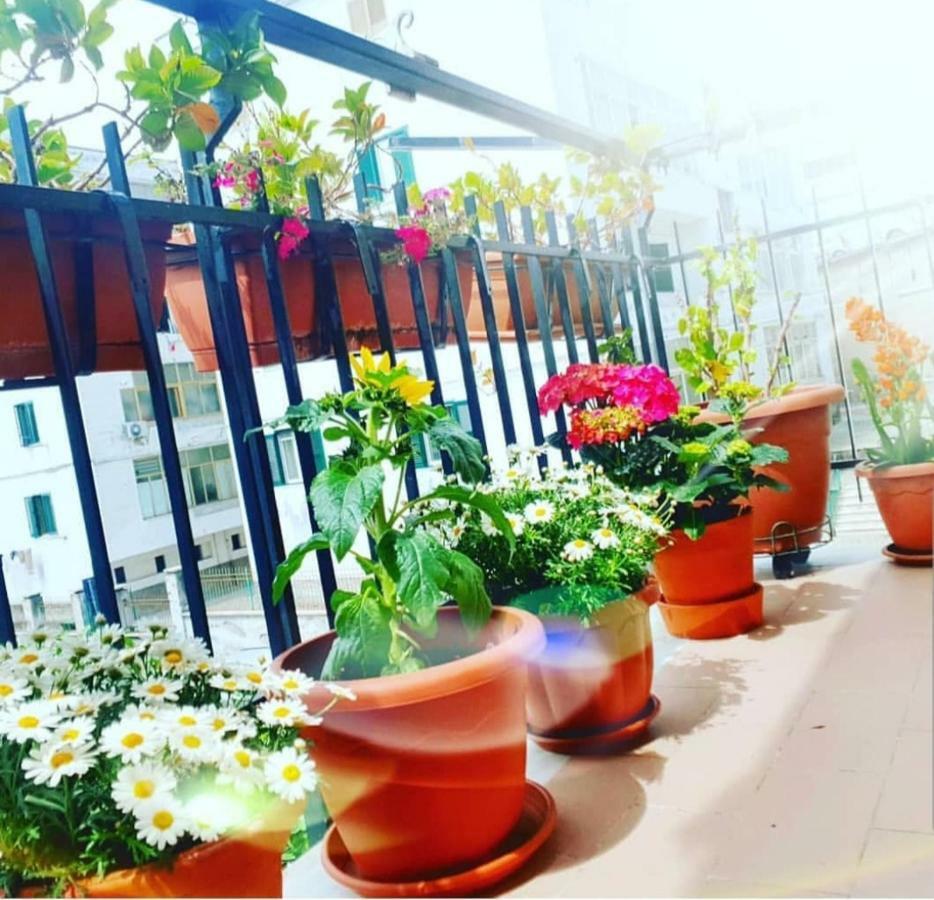 Casa Luisa Bed and Breakfast Σαλέρνο Εξωτερικό φωτογραφία